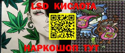 ПСИЛОЦИБИНОВЫЕ ГРИБЫ Кулебаки