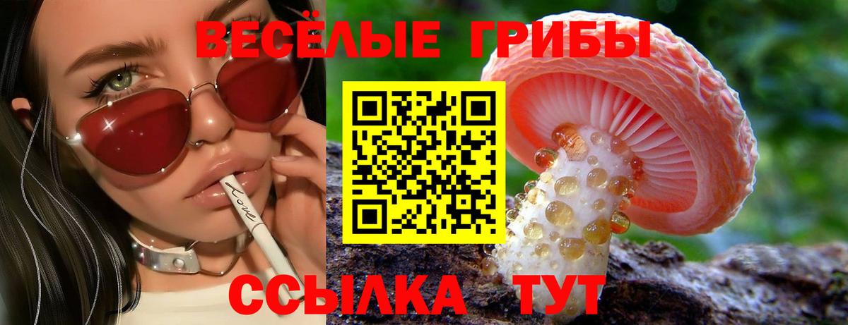 Галлюциногенные грибы мицелий  Вход с VPN  Еманжелинск 